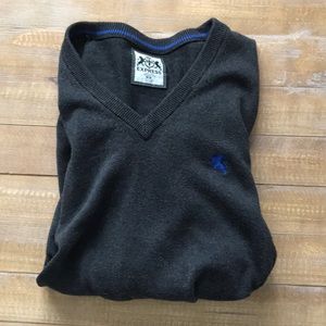 Express grey v neck sweater